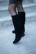 Жіночі чоботи - труби натуральна замша 1-1 13690-z фото 1