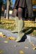 Жіночі чоботи - труби натуральна замша 2-2 11811-42 фото 4